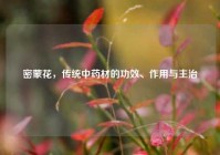 密蒙花，传统中药材的功效、作用与主治