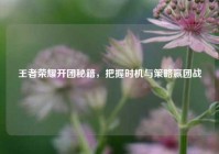 王者荣耀开团秘籍，把握时机与策略赢团战