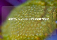 星露谷，Steam平台上的汉字魅力绽放