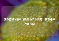 使命召唤16游戏内设置中文全攻略，获取中文界面指南