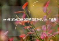 CSGO涨价动态及潜在影响因素剖析，2021年视角