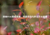 探秘PUBG韩服直播，热血竞技与多元文化碰撞