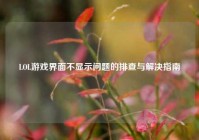 LOL游戏界面不显示问题的排查与解决指南