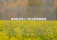 果冻能否带上飞机及携带量解惑