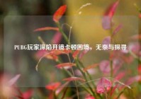 PUBG玩家深陷开镜卡顿困境，无奈与探寻