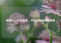 探索Steam礼包副本，开启游戏福利新境界