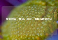 食管憩室，成因、症状、治疗与防治要点