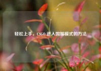 轻松上手，CSGO 进入国服模式的     