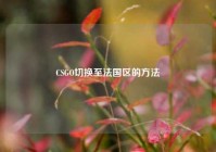 CSGO切换至法国区的     