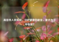 高密市人民医院，守护健康的堡垒，是否为三甲医院？