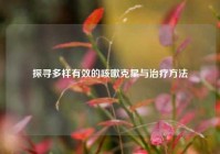 探寻多样有效的咳嗽克星与治疗     