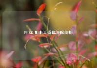 PUBG 狙击手道具深度剖析