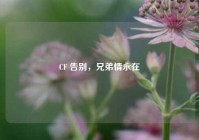 CF 告别，兄弟情永在