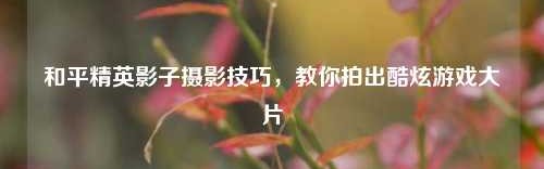 和平精英影子摄影技巧，教你拍出酷炫游戏大片