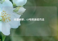 全面解析，CF号的冻结     