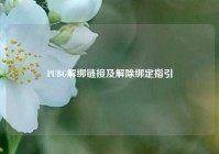 PUBG解绑链接及解除绑定指引