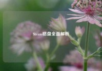 Steam格盘全面解析