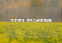 阀门与蒸汽，奏响工业的关键旋律