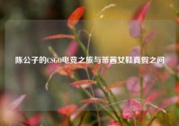 陈公子的CSGO电竞之旅与蒂茜女鞋真假之问