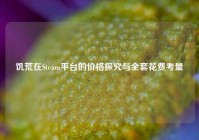 饥荒在Steam平台的价格探究与     花费考量