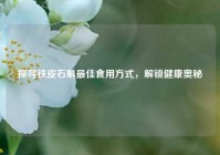 探寻铁皮石斛更佳食用方式，解锁健康奥秘
