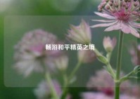 畅游和平精英之境
