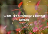 CSGO删图，实现游戏体验优化的关键操作与彻底删除     