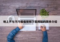 晚上开车污污痛痛视频下载网站的简单介绍