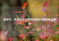 苍耳子，风湿治疗中的传统药材与民间偏方探索
