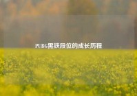 PUBG黑铁段位的成长历程