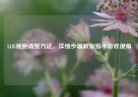 LOL视距调整     ，详细步骤教你缩小游戏视角