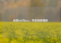 玩转LOL与lolm，开启别样精彩