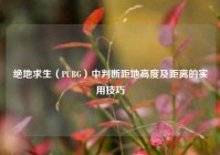 绝地求生（PUBG）中判断距地高度及距离的实用技巧