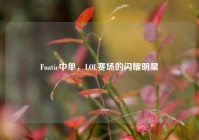 Fnatic中单，LOL赛场的闪耀明星