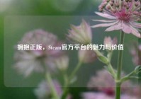 拥抱正版，Steam官方平台的魅力与价值