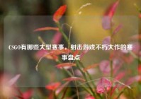 CSGO有哪些大型赛事，射击游戏不朽大作的赛事盘点