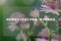 和平精英恋人关系公开秘籍，秀出专属浪漫
