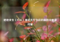 绝地求生（PUBG）重启大厅卡住的原因及解决对策
