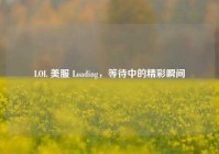 LOL 美服 Loading，等待中的精彩瞬间