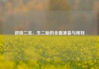 迎接二宝，生二胎的全面准备与规划
