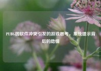 PUBG因软件冲突引发的游戏思考，系统提示背后的隐情