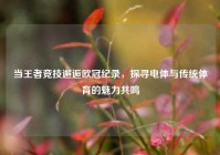 当王者竞技邂逅欧冠纪录，探寻电体与传统体育的魅力共鸣