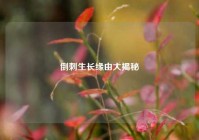 倒刺生长缘由大揭秘