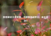 醉意解说王者荣耀，当微醺邂逅野王，谁主沉浮？