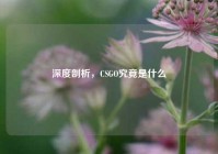 深度剖析，CSGO究竟是什么