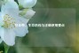 安全带，生命防线与正确使用要点