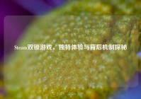Steam双锁游戏，独特体验与背后机制探秘