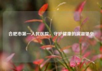 合肥市之一人民医院，守护健康的滨湖堡垒
