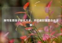 探寻免费孩子取名大全，开启美好寓意命名之旅