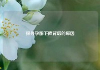探寻孕酮下降背后的原因